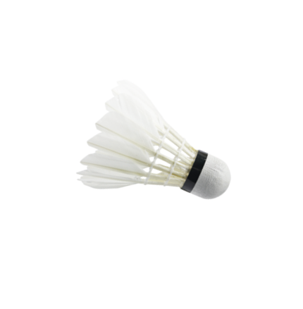 shuttlecock badminton in white background isolate with clipping path