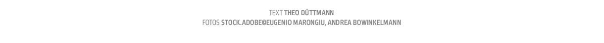Text Theo D ttmann  fotos stock adobe Eugenio Marongiu, Andrea Bowinkelmann