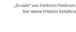   Druide  von Feldrom Veldrom: Der weise Fridolin Sch fers