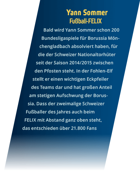 Yann Sommer Fu ball-FELIX Bald wird Yann Sommer schon 200 Bundesligaspiele f r Borussia M nchengladbach absolviert ha   