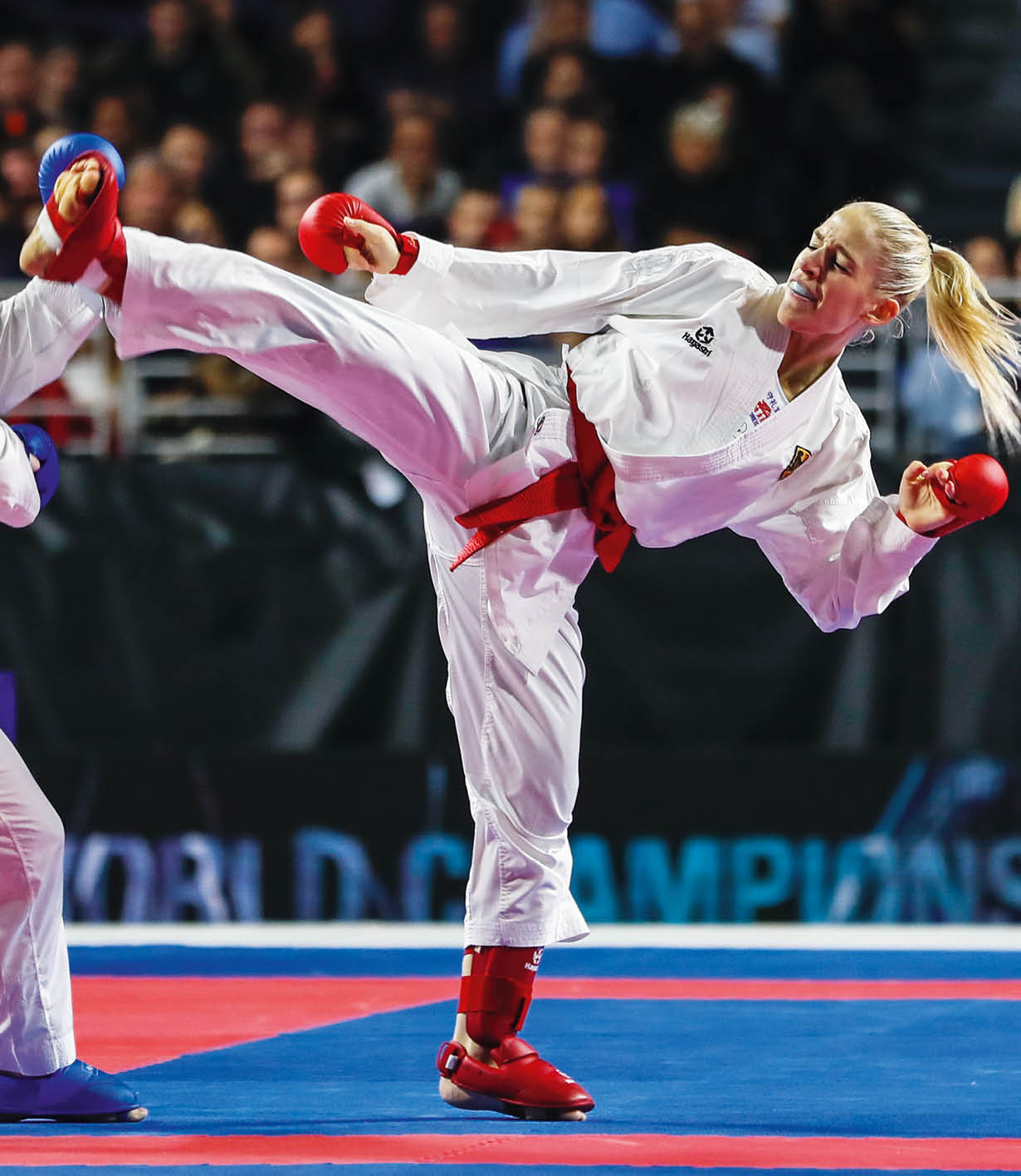 Bitsch Jana (GER) figth with Banaszczyk Dorota (POL) for the gold medal and win the tournament of Female Kumite -55 Kg during the Finals of Karate World Championship celebrates in Wizink Center, Madrid, Spain, on November 10th, 2018   