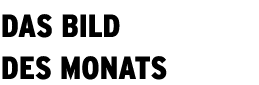 Das bild des Monats