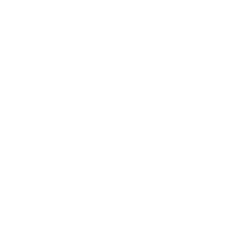 Interview mit Ministerpr sident Hendrik W st