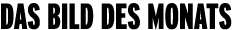 Das bild des Monats