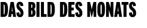 Das bild des Monats