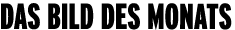 Das bild des Monats