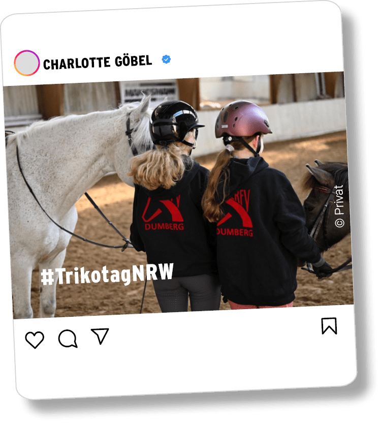 Instagramposts verschiedener Sportvereinsmitglieder die zum #TrikotagNRW ihr Vereinstrikot am Arbeitsplatz, in der Schule oder in der Freiziet anzogen