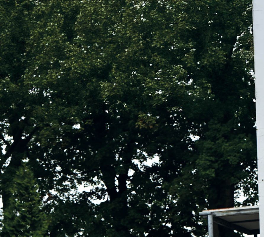 Kinder auf dem Pausenhof in der Offenen Ganztagsschule des RSV vo