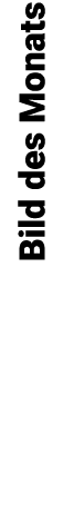 Bild des Monats