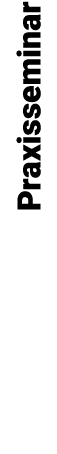 Praxisseminar
