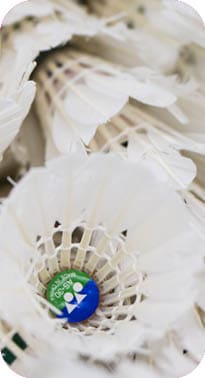 Wir imm Sport Ausgabe 6 2025