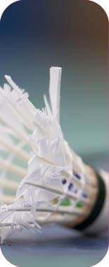 Wir imm Sport Ausgabe 6 2025