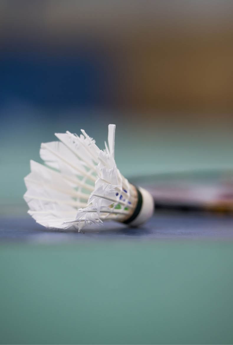 Wir imm Sport Ausgabe 6 2025