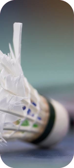 Wir imm Sport Ausgabe 6 2025