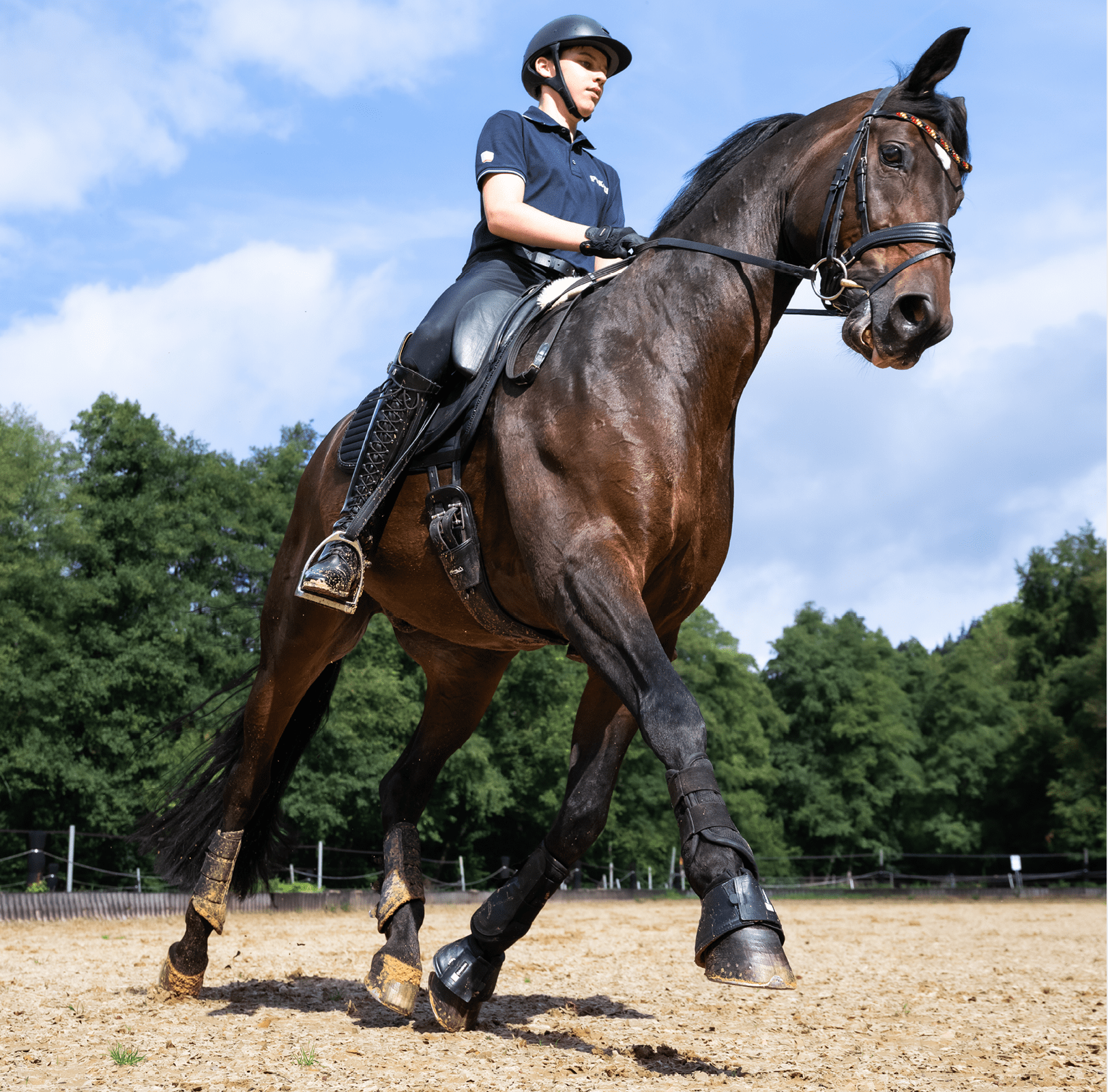 Eine Person in Reitkleidung und Helm reitet auf einem braunen Pferd auf einem Sandplatz mit B umen im Hintergrund. Beschreibung von KI generiert