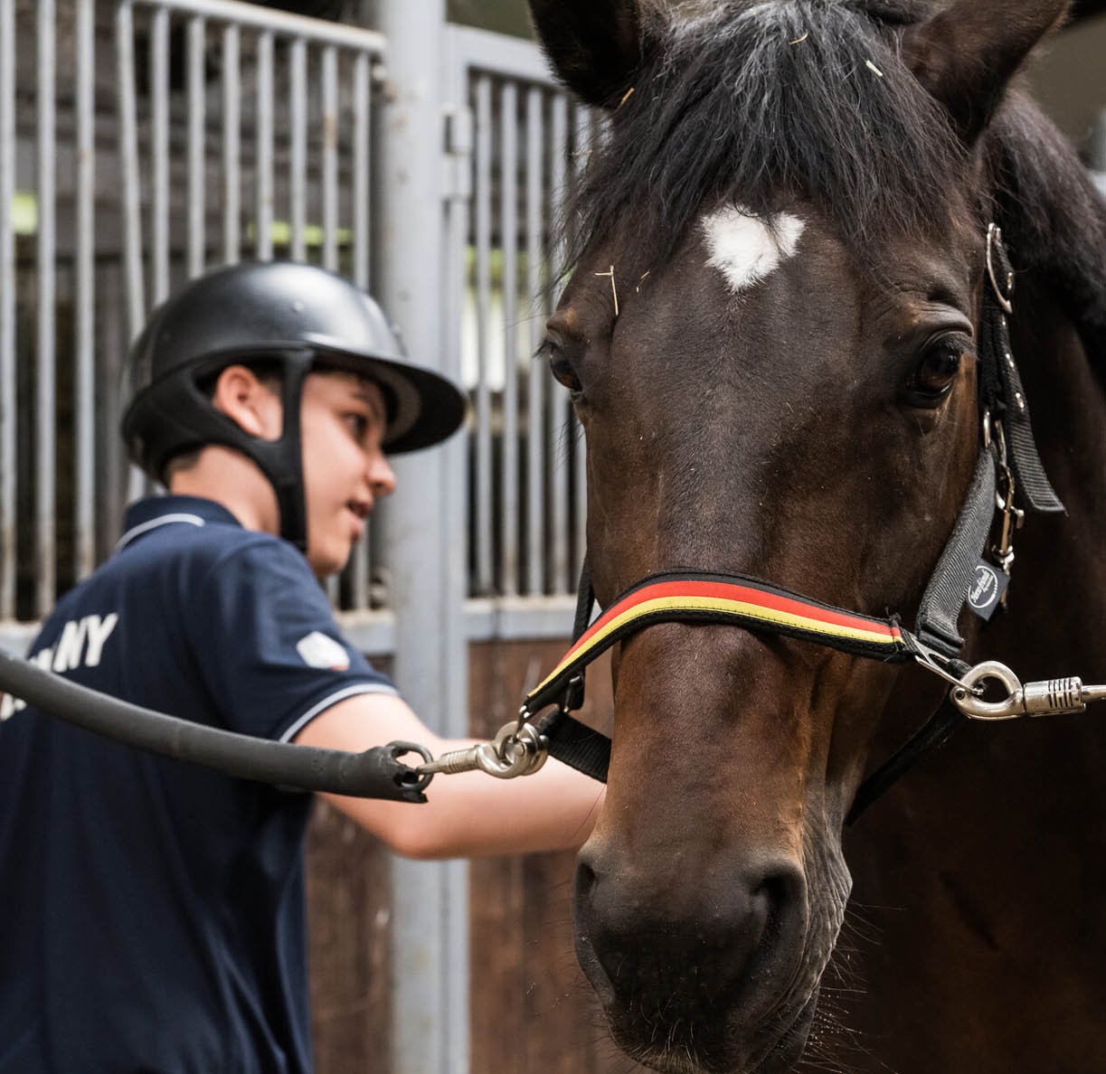 Eine Person mit Helm und dunkelblauem Hemd f hrt ein braunes Pferd mit einem Halfter in einem Stall. Beschreibung von KI generiert