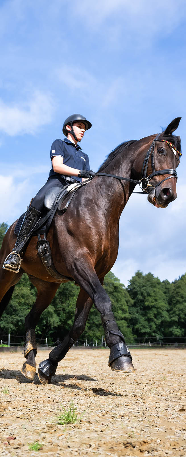 Eine Person in Reitkleidung und Helm reitet auf einem braunen Pferd auf einem Sandplatz mit B umen im Hintergrund. Beschreibung von KI generiert