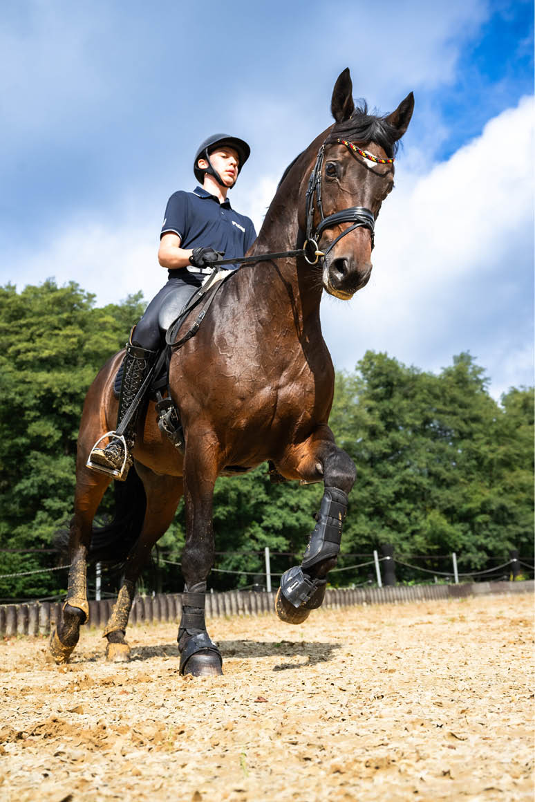 Eine Person in Reitkleidung und Helm reitet auf einem braunen Pferd auf einem Sandplatz vor einem bewaldeten Hintergrund bei blauem Himmel. Beschreibung von KI generiert