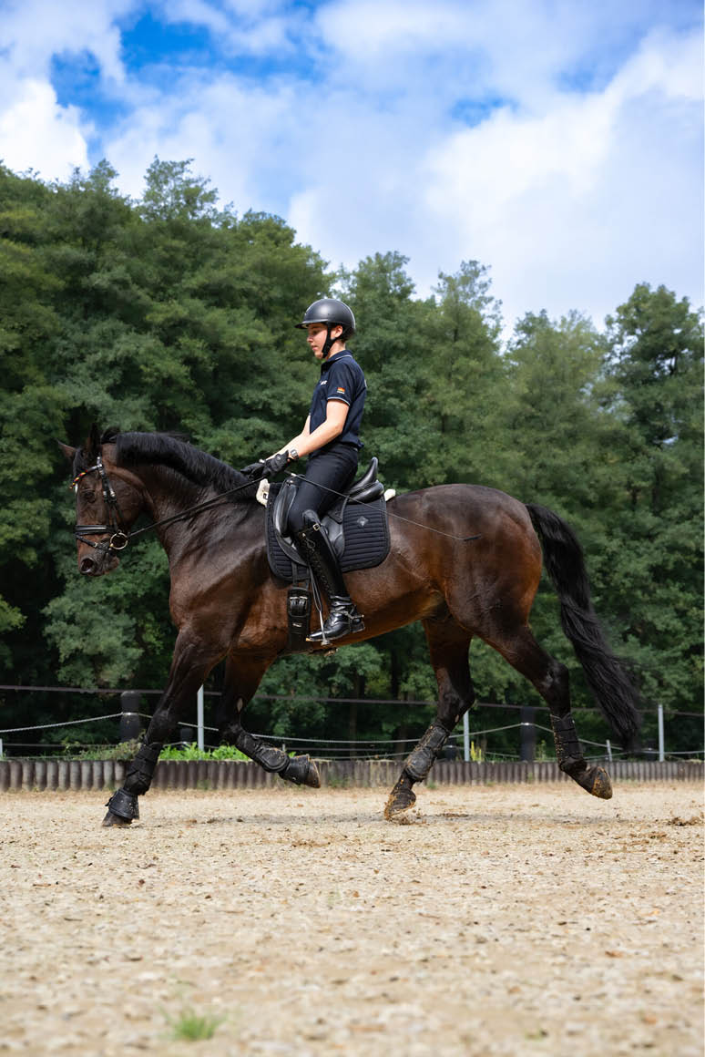 Eine Person in Reitkleidung und Helm reitet auf einem braunen Pferd auf einem Sandplatz vor einem Hintergrund aus B umen und blauem Himmel. Beschreibung von KI generiert