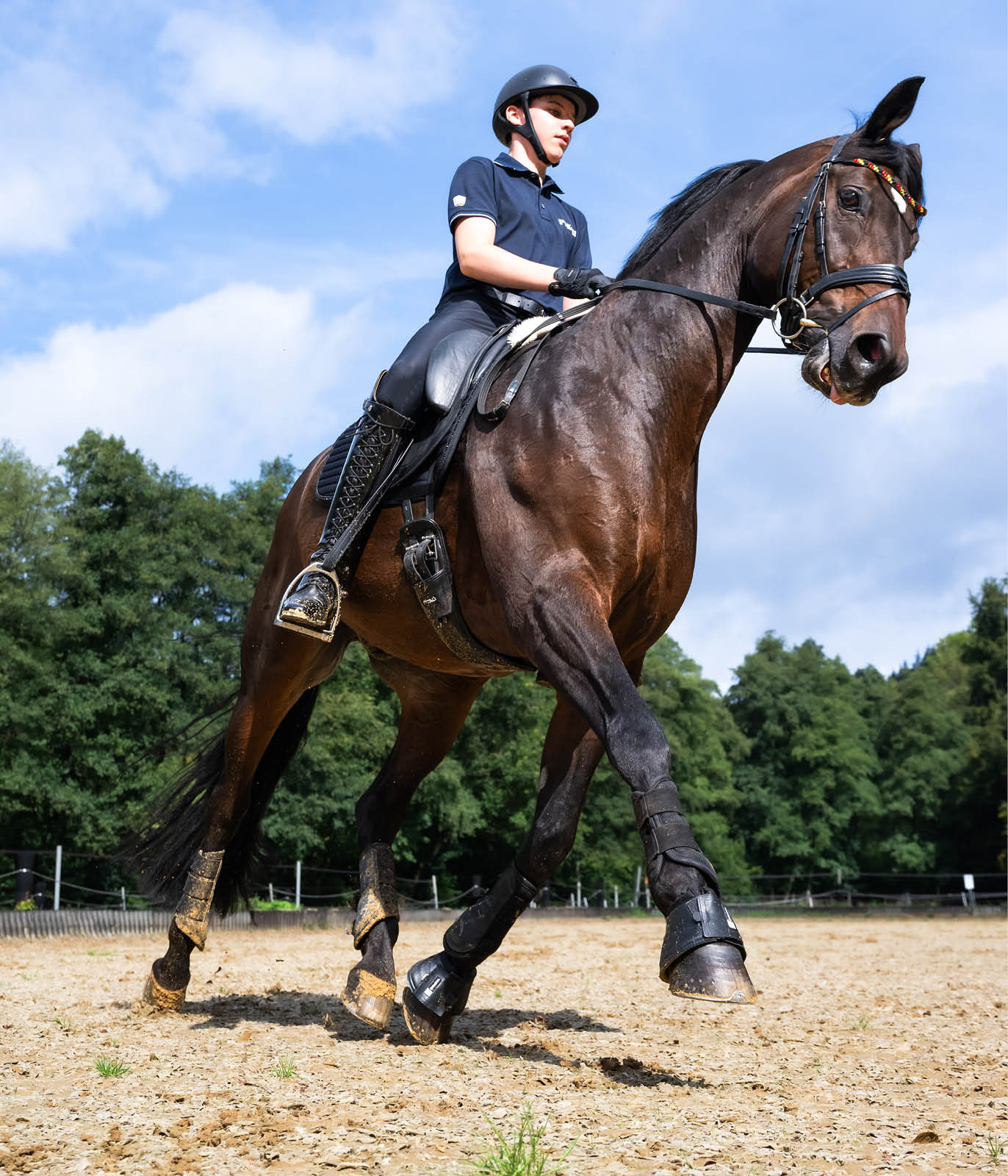Eine Person in Reitkleidung und Helm reitet auf einem braunen Pferd auf einem Sandplatz mit B umen im Hintergrund. Beschreibung von KI generiert
