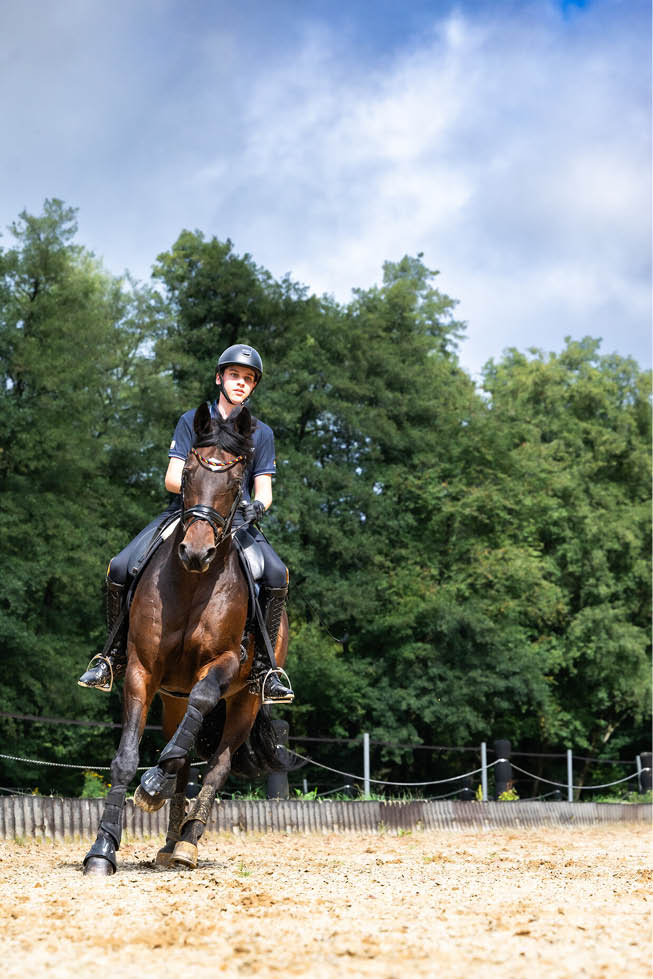 Eine Person mit Helm und Reitkleidung reitet auf einem braunen Pferd auf einem Sandplatz vor einem Hintergrund aus gr nen B umen. Beschreibung von KI generiert
