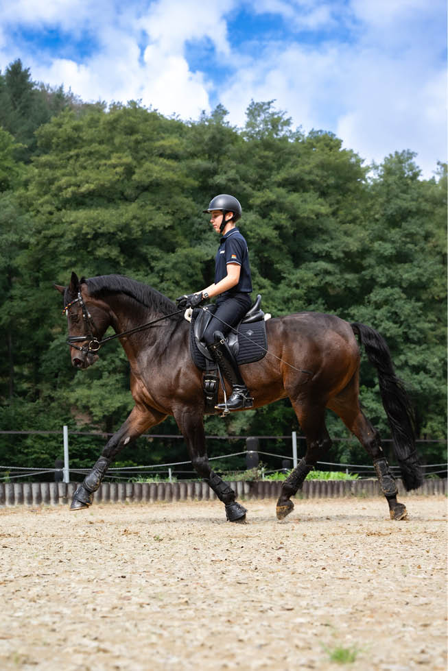 Eine Person in Reitkleidung und Helm reitet in einer Sandbahn auf einem braunen Pferd vor einem Hintergrund aus gr nen B umen und blauem Himmel. Beschreibung von KI generiert