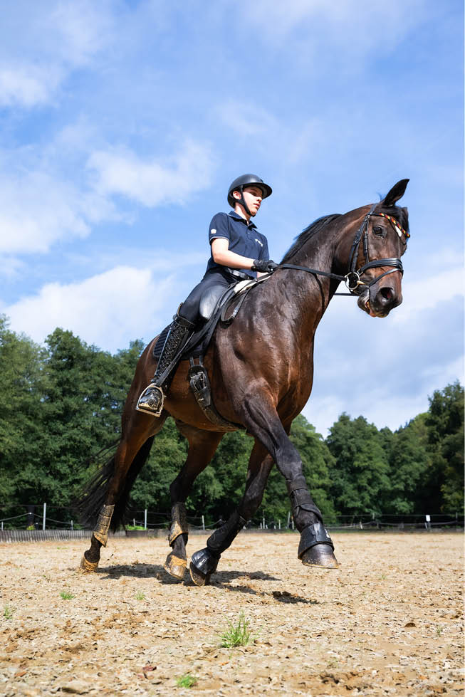 Eine Person in Reitkleidung und Helm reitet auf einem braunen Pferd auf einem Sandplatz vor einem bewaldeten Hintergrund unter blauem Himmel. Beschreibung von KI generiert