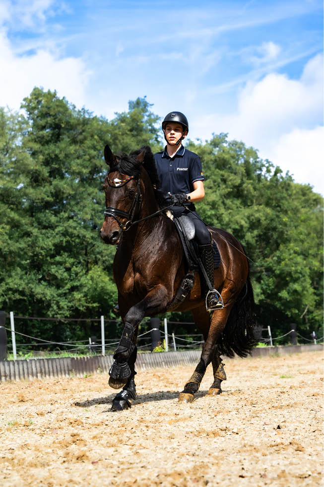 Eine Person in Reitkleidung und Helm reitet auf einem braunen Pferd auf einem Sandplatz vor einem Hintergrund aus gr nen B umen und blauem Himmel. Beschreibung von KI generiert