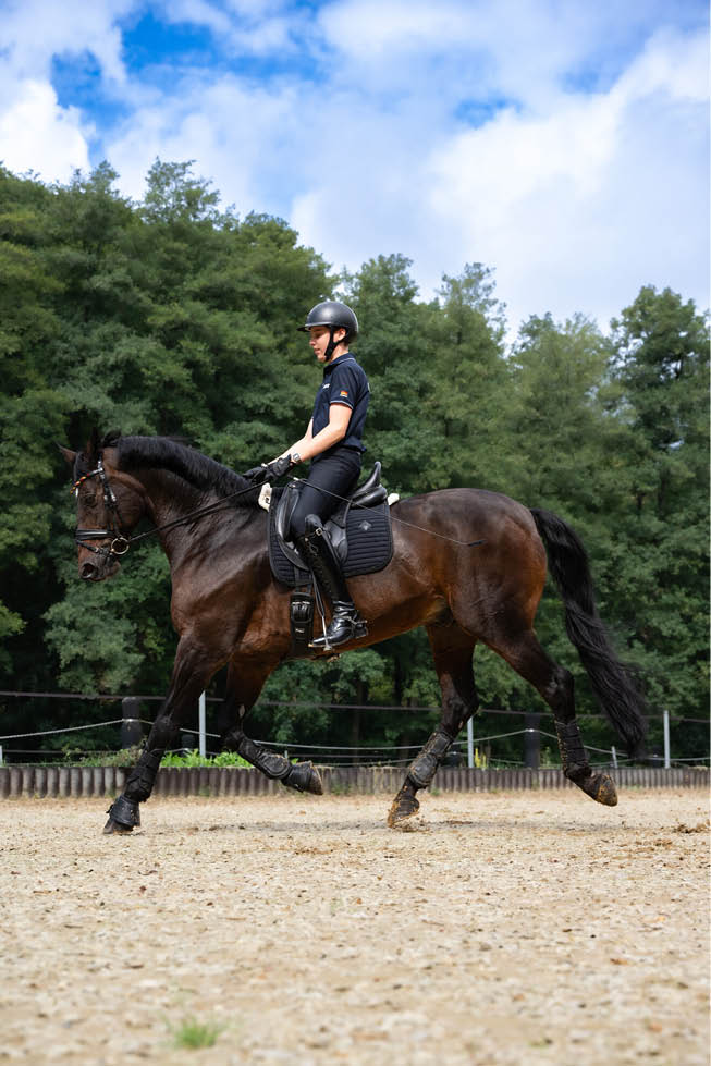 Eine Person in Reitkleidung und Helm reitet auf einem braunen Pferd auf einem Sandplatz vor einem Hintergrund aus B umen und blauem Himmel. Beschreibung von KI generiert