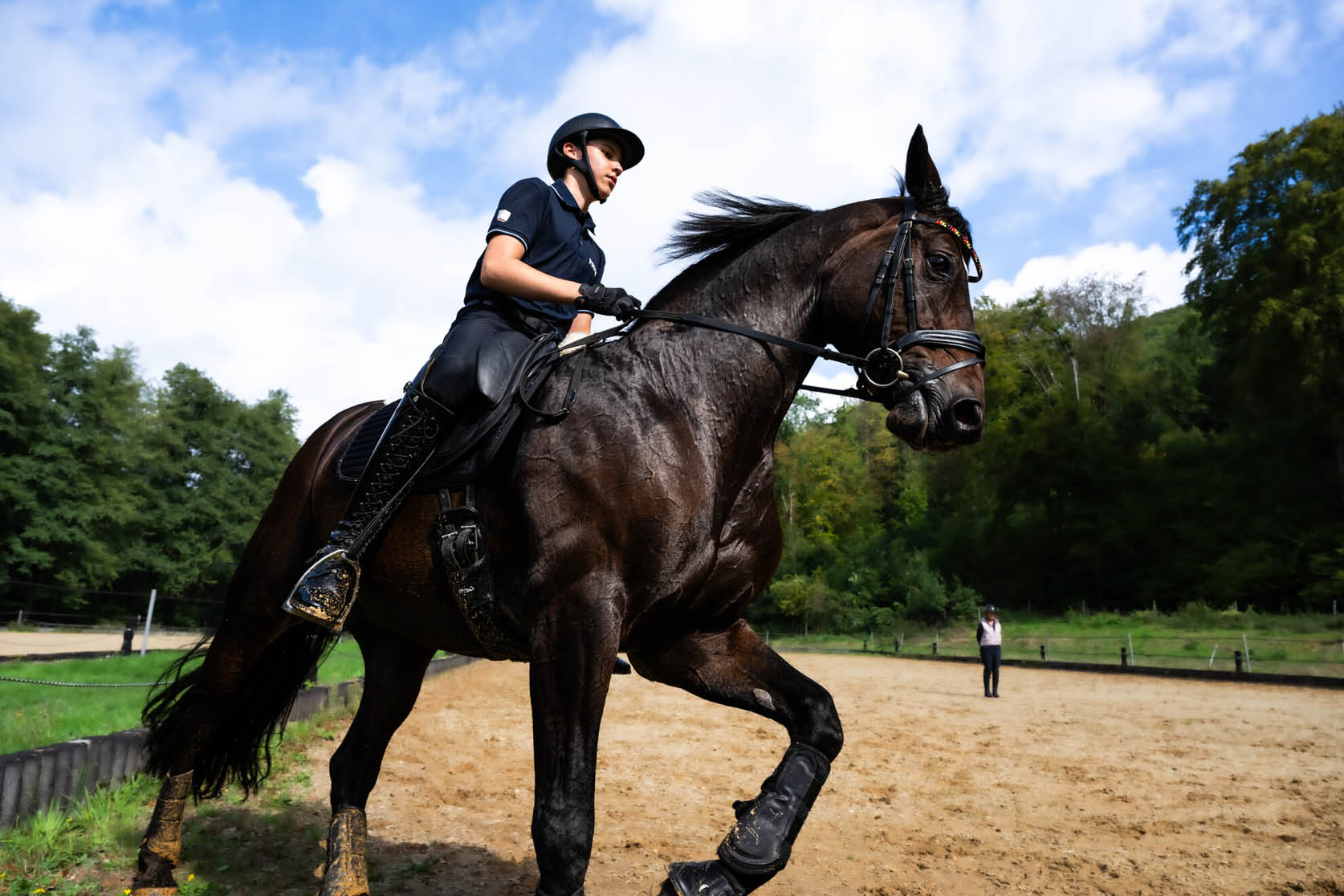 Eine Person in Reitkleidung und Helm reitet auf einem schwarzen Pferd auf einem Sandplatz mit B umen im Hintergrund. Beschreibung von KI generiert