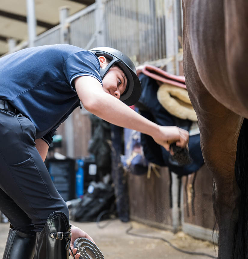 Eine Person mit Helm und Reitstiefeln putzt das Bein eines Pferdes in einem Stall. Beschreibung von KI generiert