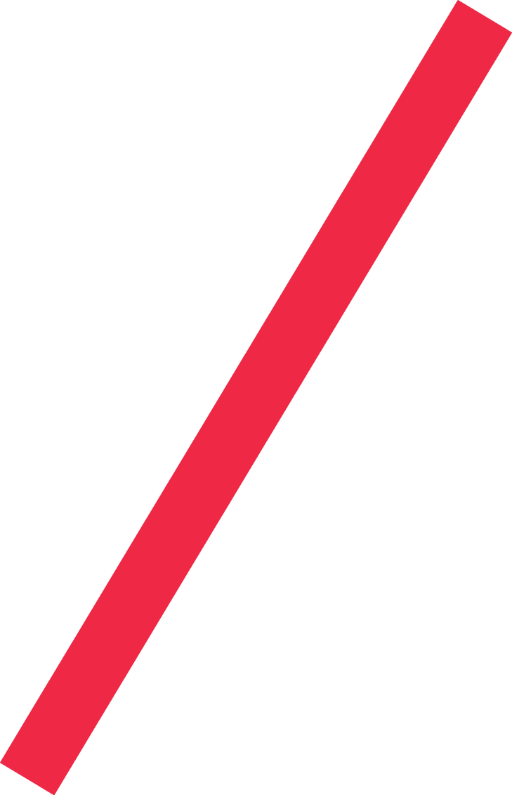 Wir im Sport 01 2026 Neue Navigation