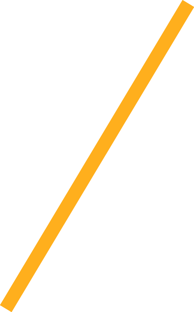 Wir im Sport 01 2026 Neue Navigation