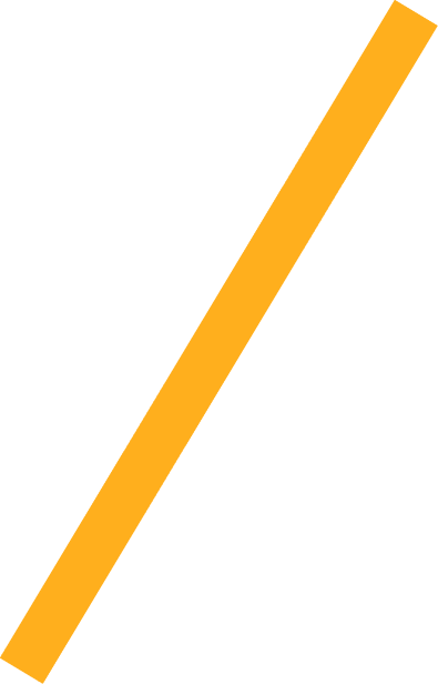 Wir im Sport 01 2026 Neue Navigation