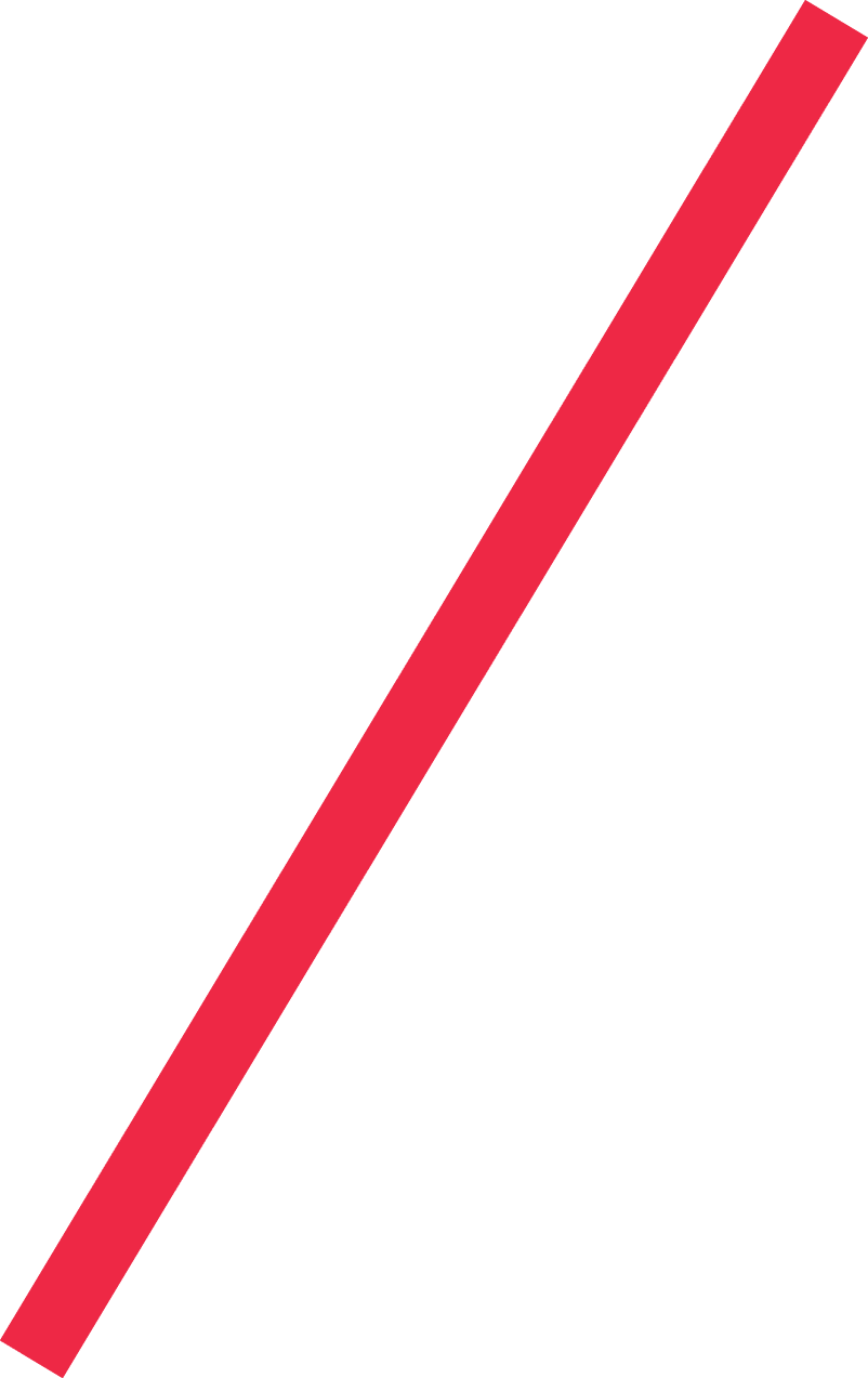 Wir im Sport 01 2026 Neue Navigation