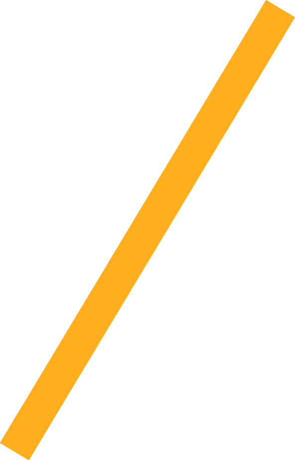 Wir im Sport 01 2026 Neue Navigation